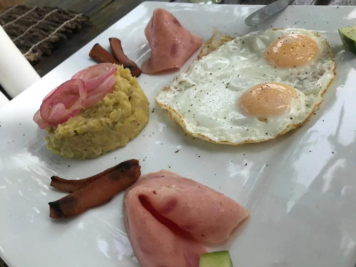 Albergo El Pulpo, Bayahibe Hostel